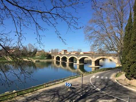 Le pont neuf