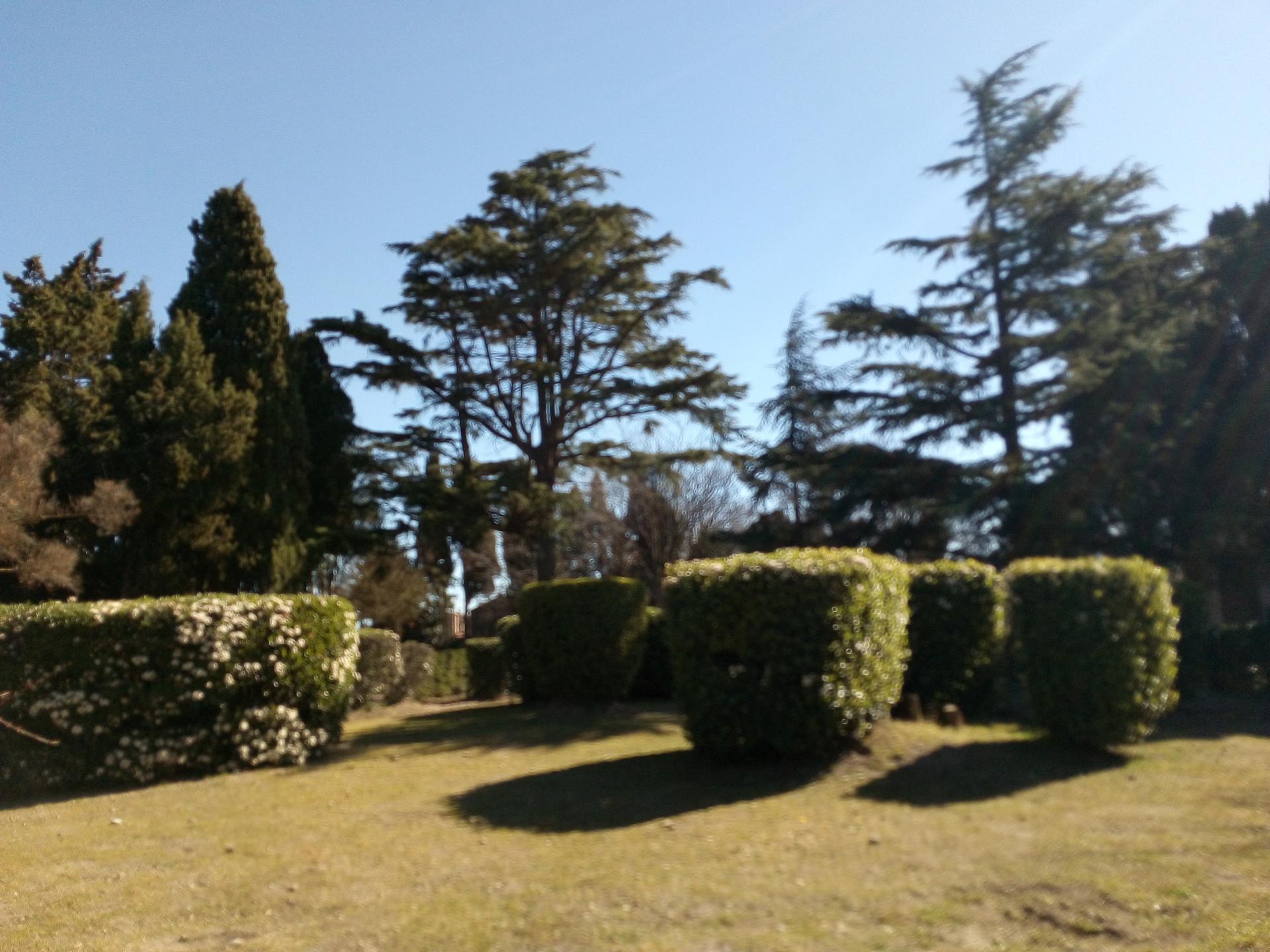 Le parc du calvaire