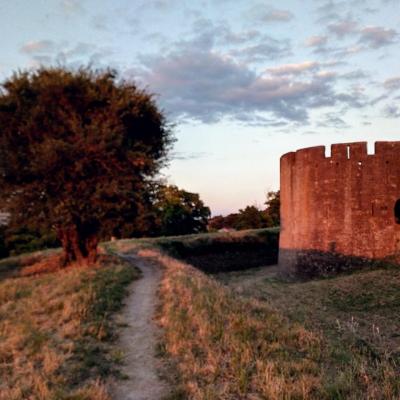 sur les contreforts de la Cité